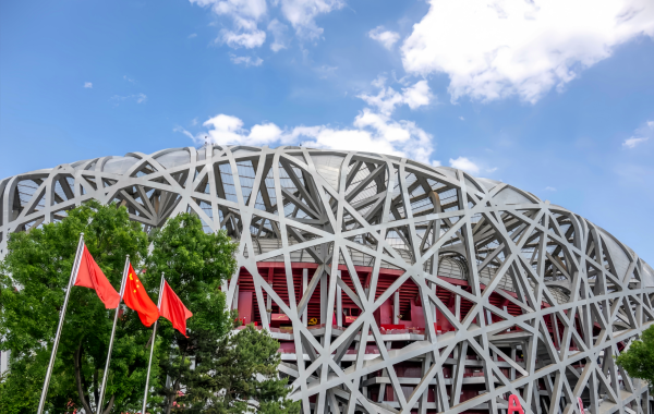 Bird Nest